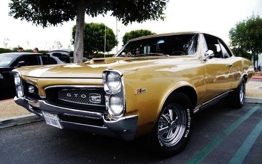 1967 Tiger Gold Hurst GTO