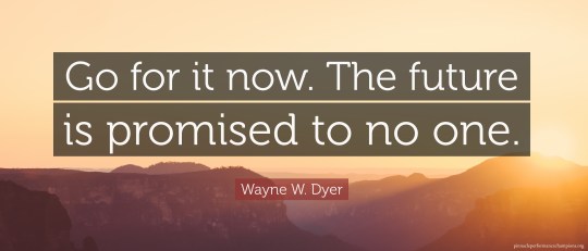 Go for it now. The future is promised to no one.
